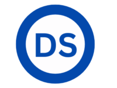 DS Group Logo